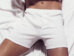 Çift Kaplan 790 Boxer (Fiyatı 2 Adet İçindir)